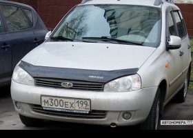 М300ЕХ199
