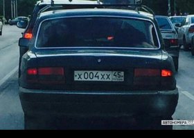 Х004ХХ45