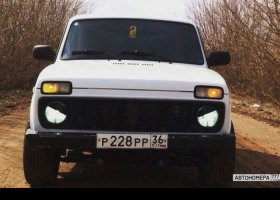Р228РР36