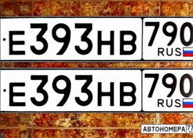 Е393НВ790