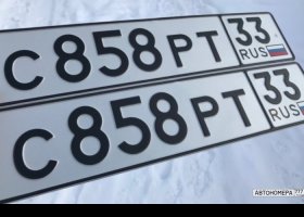 С858РТ33