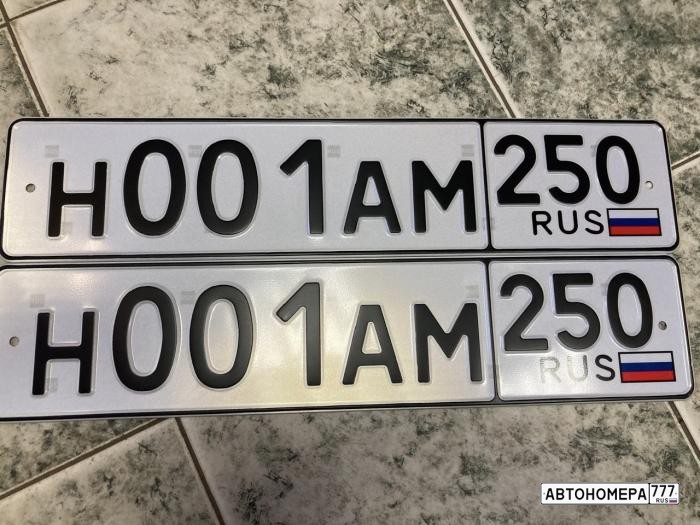 Н001АМ250
