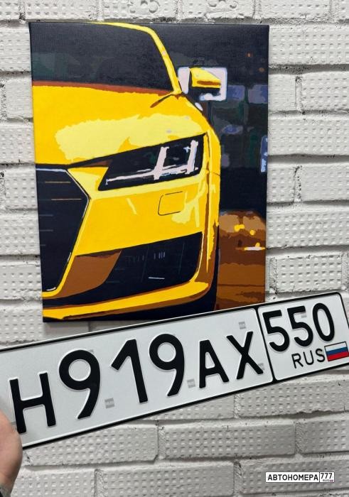 Н919АХ550