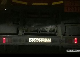 С666СС177