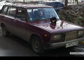 У197ТК197