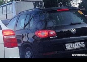 Х777ХХ46