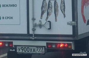У900ХА777