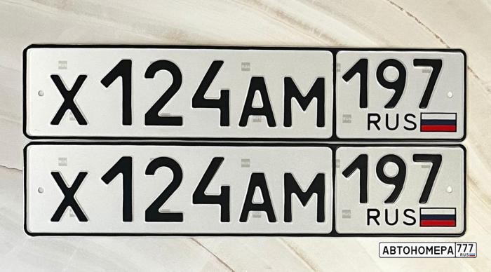 Х124АМ197