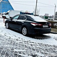 М333РР34