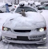 Е666АМ17