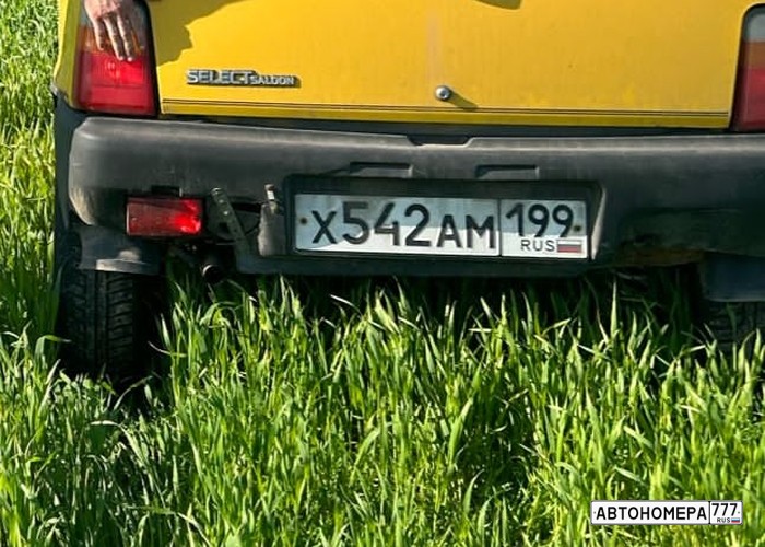 Х542АМ199